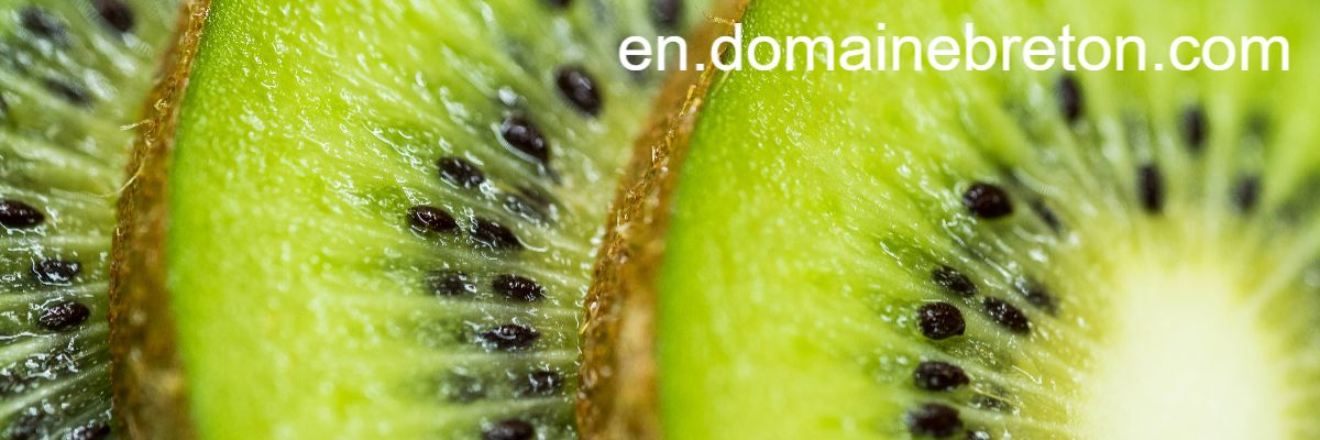 en.domainebreton.com